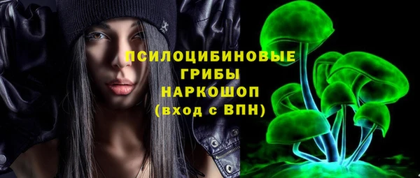 МДПВ Надым