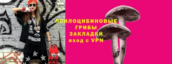 МДПВ Надым